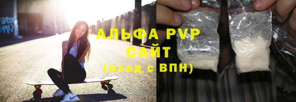 СК Коряжма