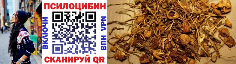 Галлюциногенные грибы мицелий  Купить  Киреевск 